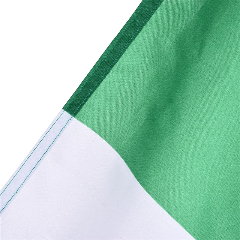 Irish Flag Meaning 6